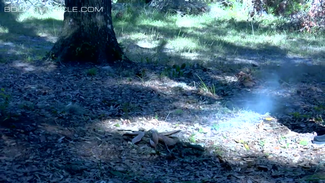 Dungeon Games - Into The Woods 2 - Tyler Saint, Duke Rivers & Dire Callahan