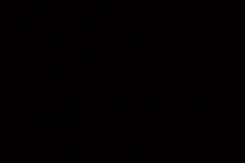 Tre'S Shower Show