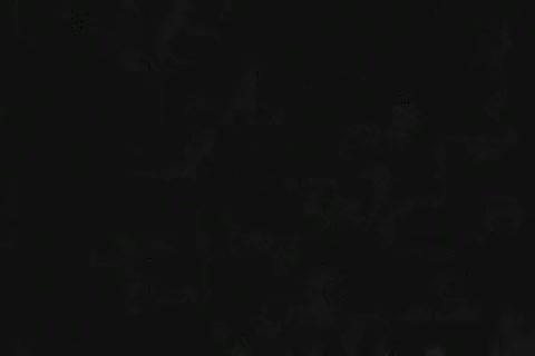 Bears Shower Fuck