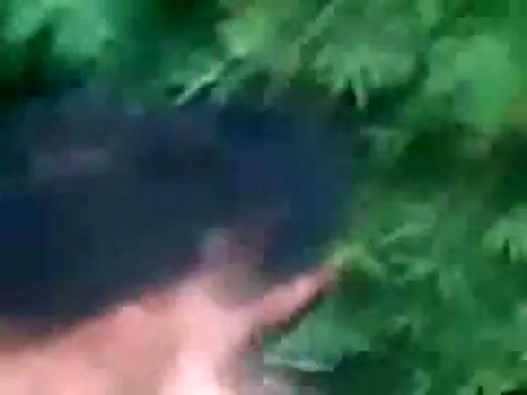 Caught In The Military