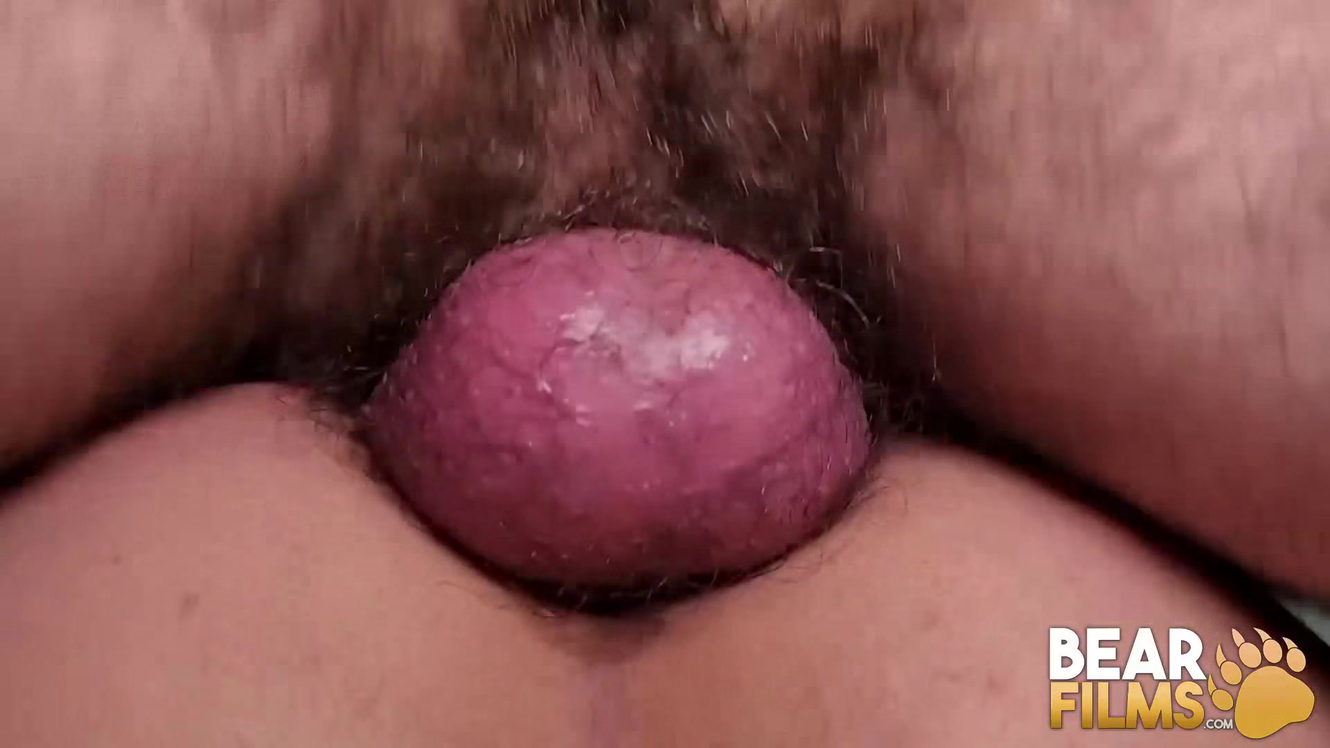 BEARFILMS Hairy Bearded Bear Rob Hairy Breeds Ray Crosswell