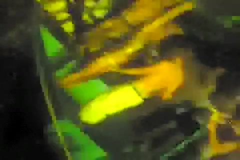 Twink Shower Fuck