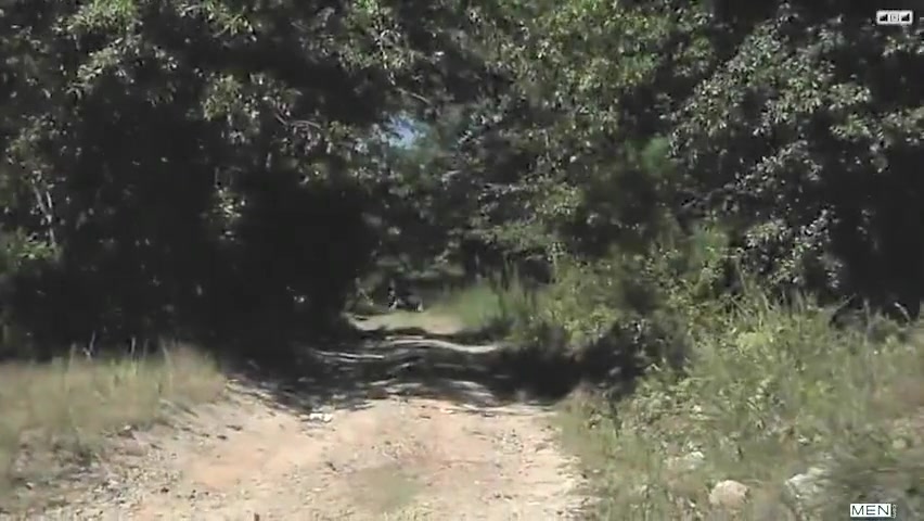 Military Training