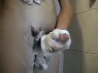 Shower Boy