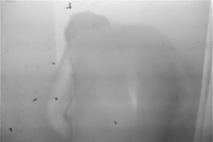 Dick Bashman Jerks Himself In The Shower