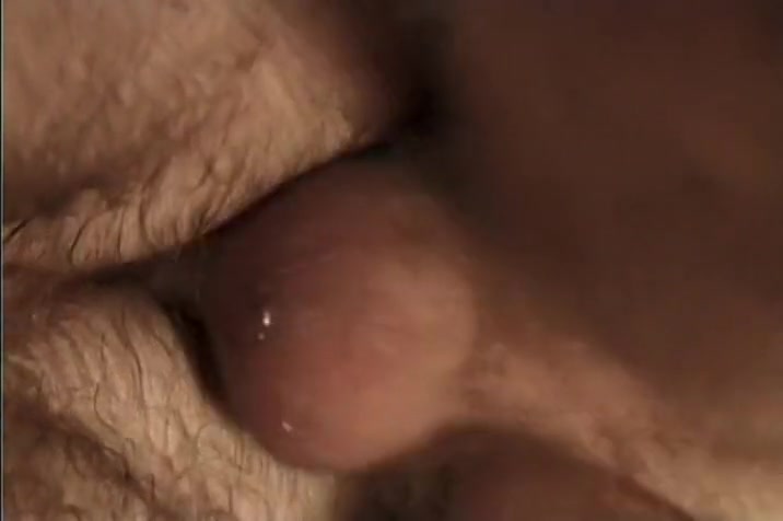 Hairy Bear Coworkers in Office Sex