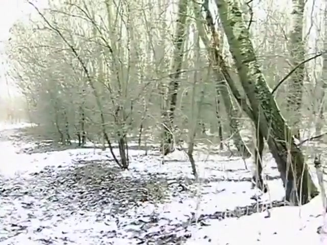 Gay Army Boys Bang In The Woods