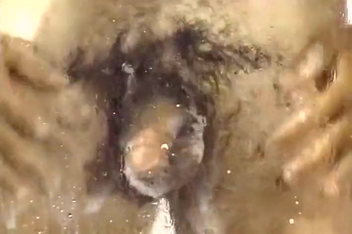 Horny Gays Showering Together And Blowing Each Other