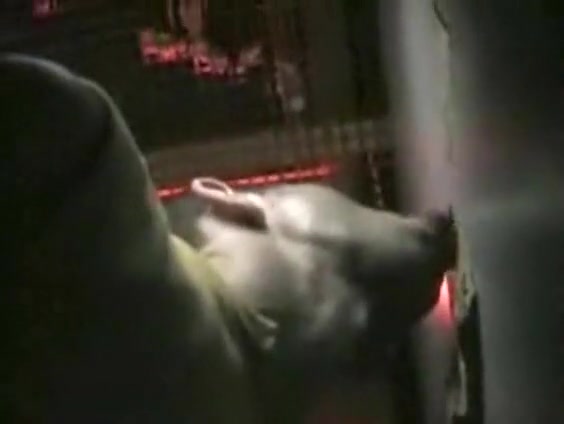 Amateur sucking in glory hole