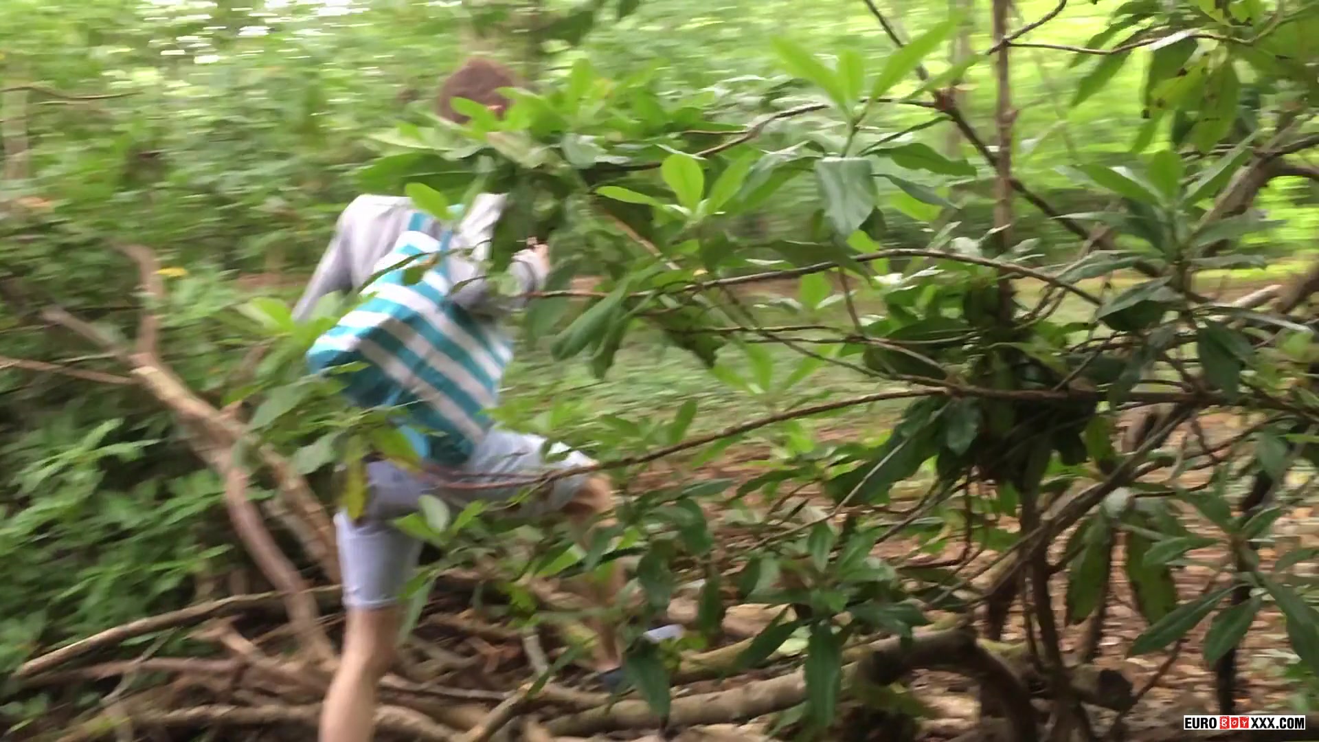 Taking Toys To The Woods - Miller Larkin