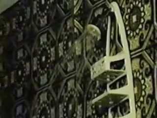 vintage shower sex