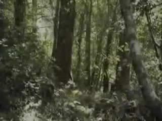 Army Search