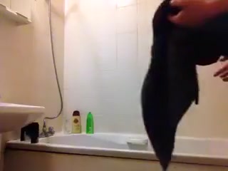 Shower scene 8