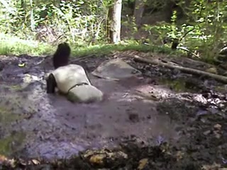 mud shower dress