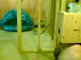 gloryhole box
