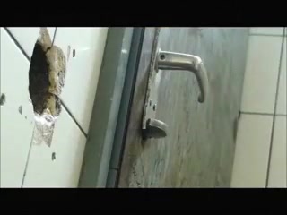 Amateur gloryhole in public rest room nice cocks