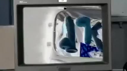 Customs Officer Fucks the Passenger