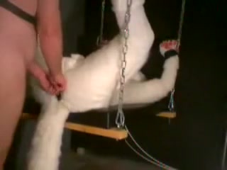 Fursuiter fisting