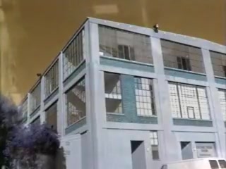 Hot scene in the office