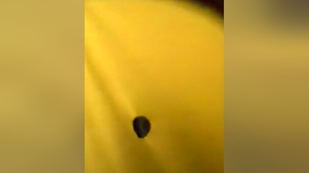 Straight Man at My Intimate Gloryhole