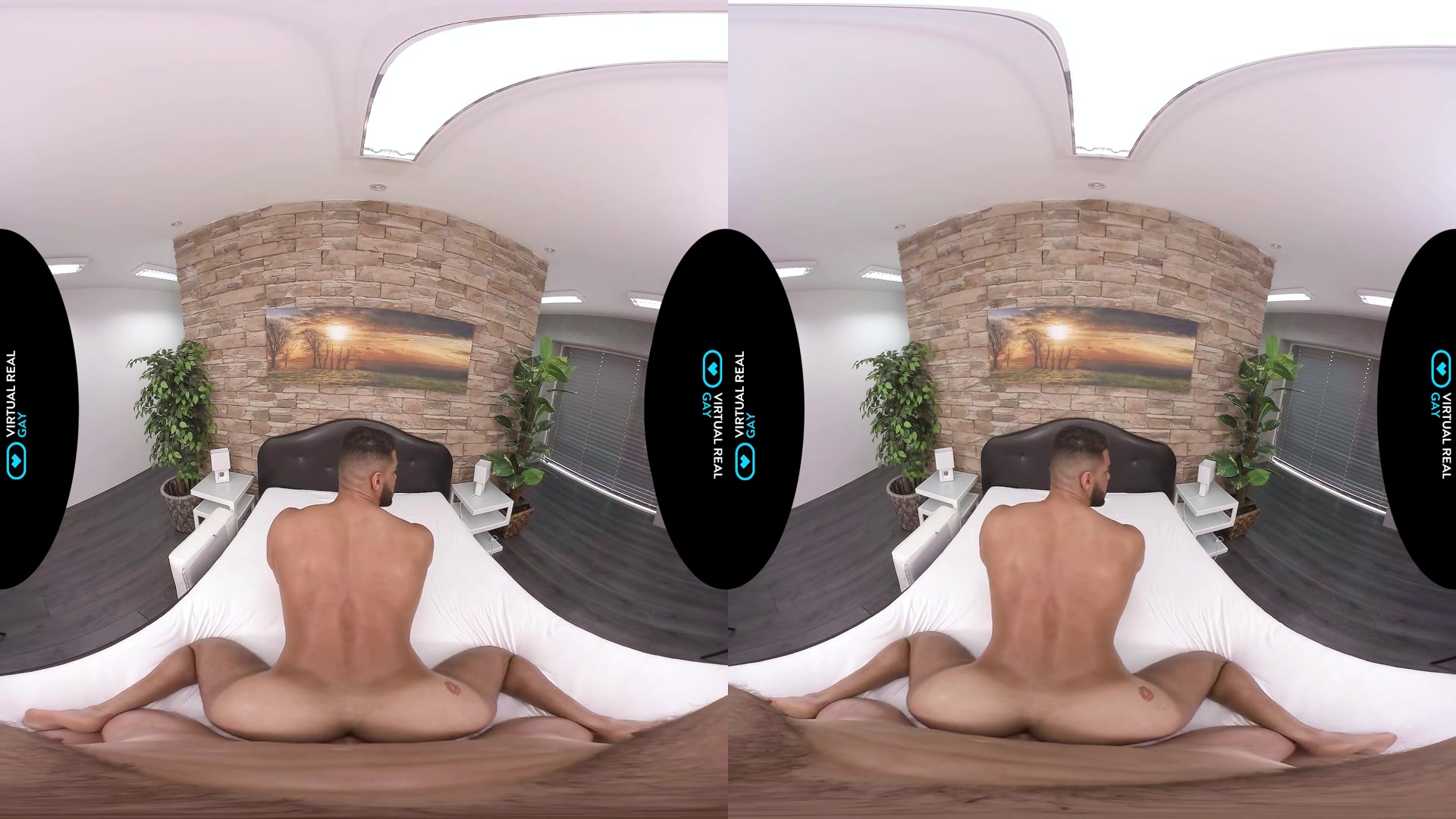 Let's celebrate I - VirtualRealGay