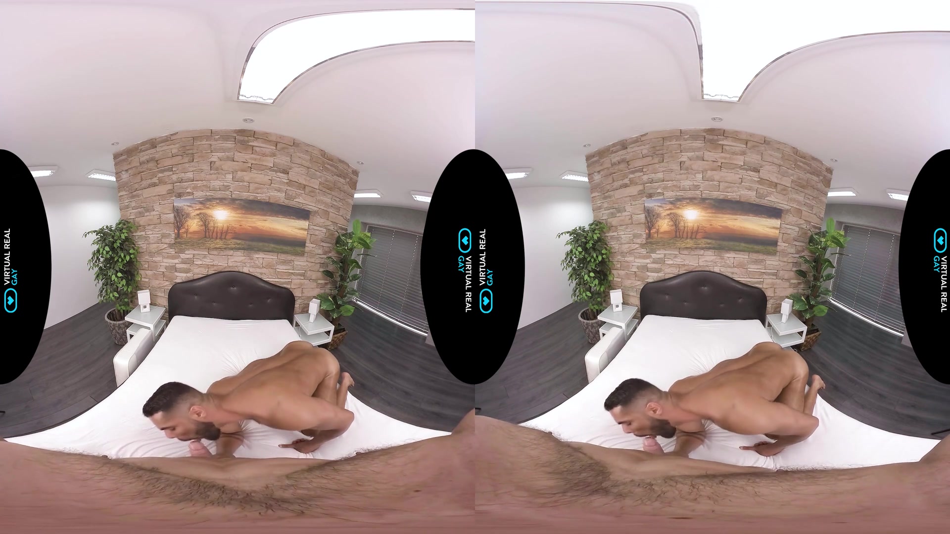Let's celebrate I - VirtualRealGay