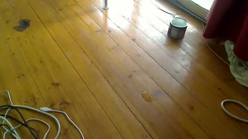 20100704 fisting 1