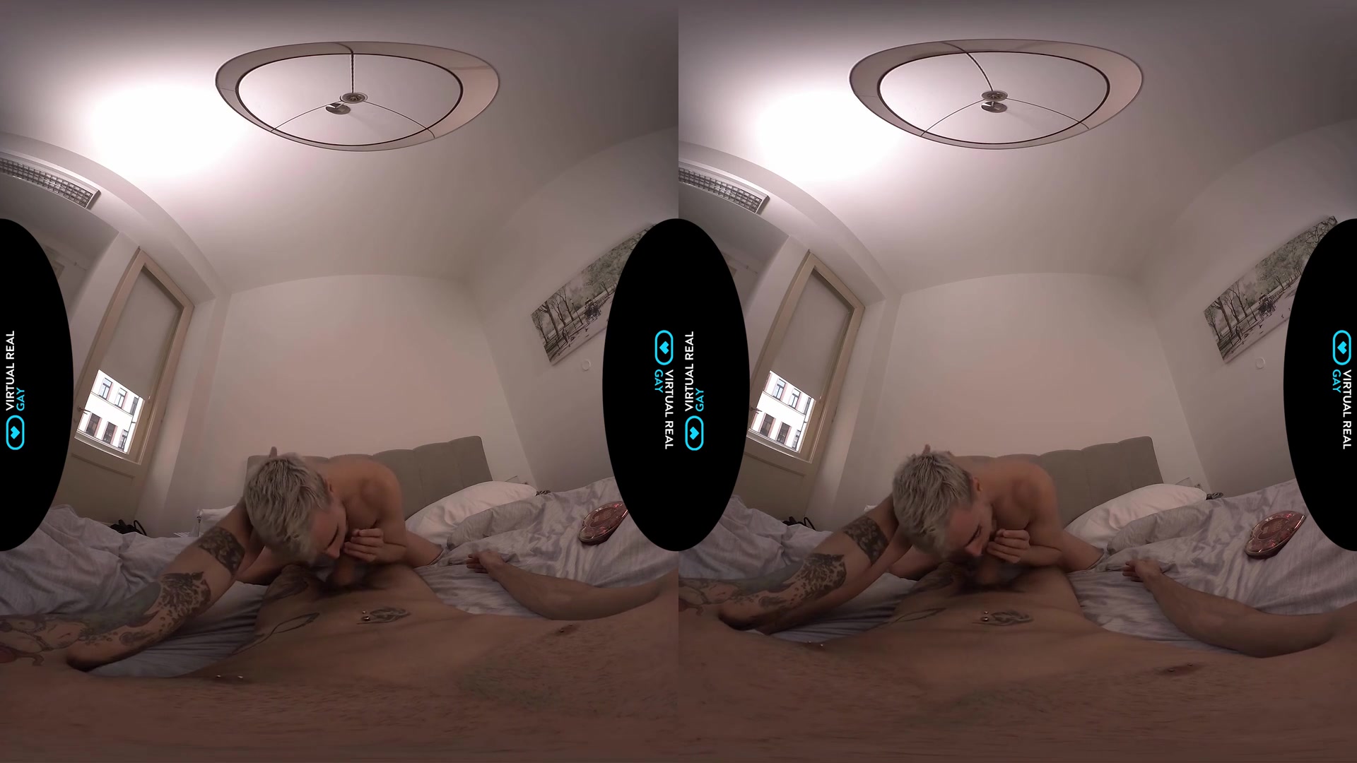 Luxury Valentine's day - VirtualRealGay
