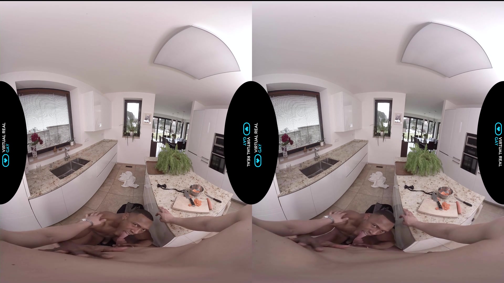 Dinner is served - VirtualRealGay