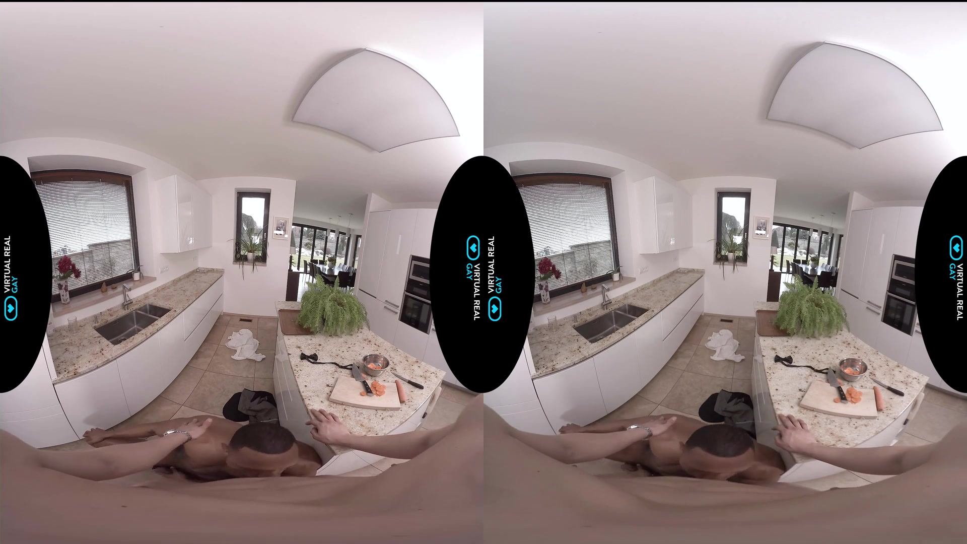 Dinner is served - VirtualRealGay