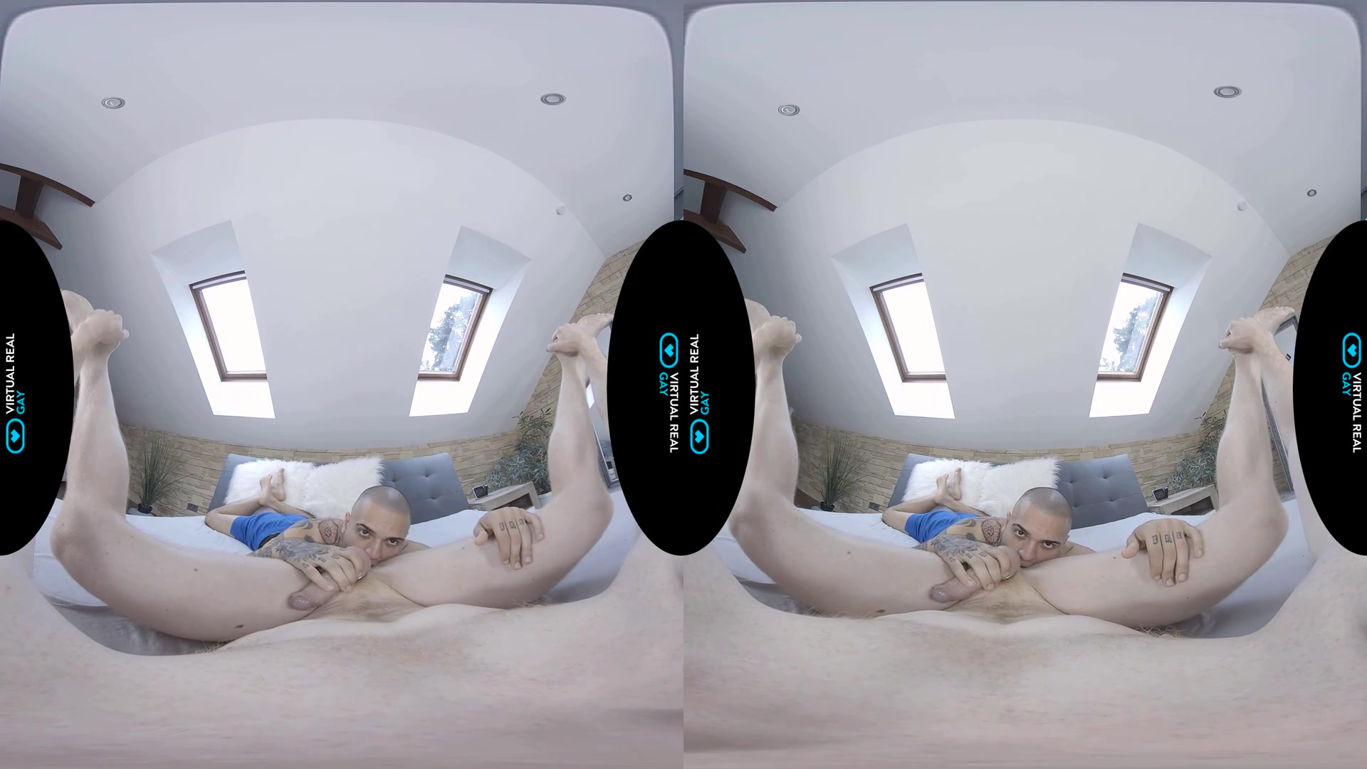 Sexual trainer - VirtualRealGay