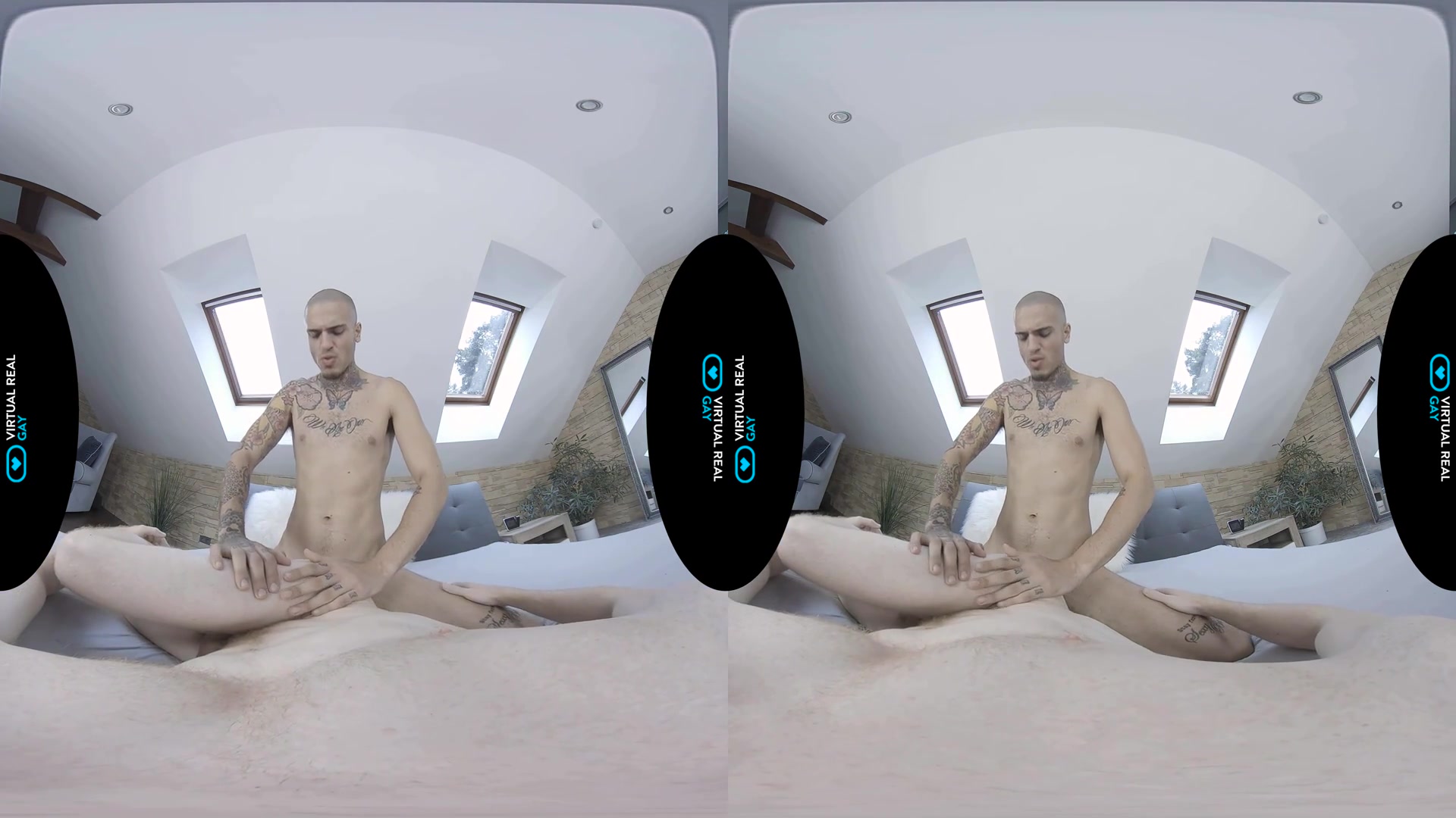 Sexual trainer - VirtualRealGay