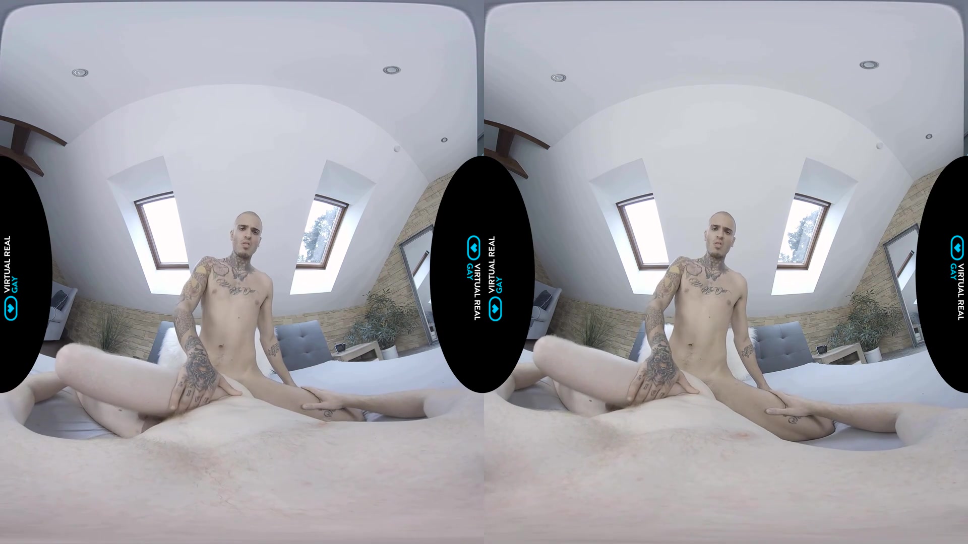 Sexual trainer - VirtualRealGay