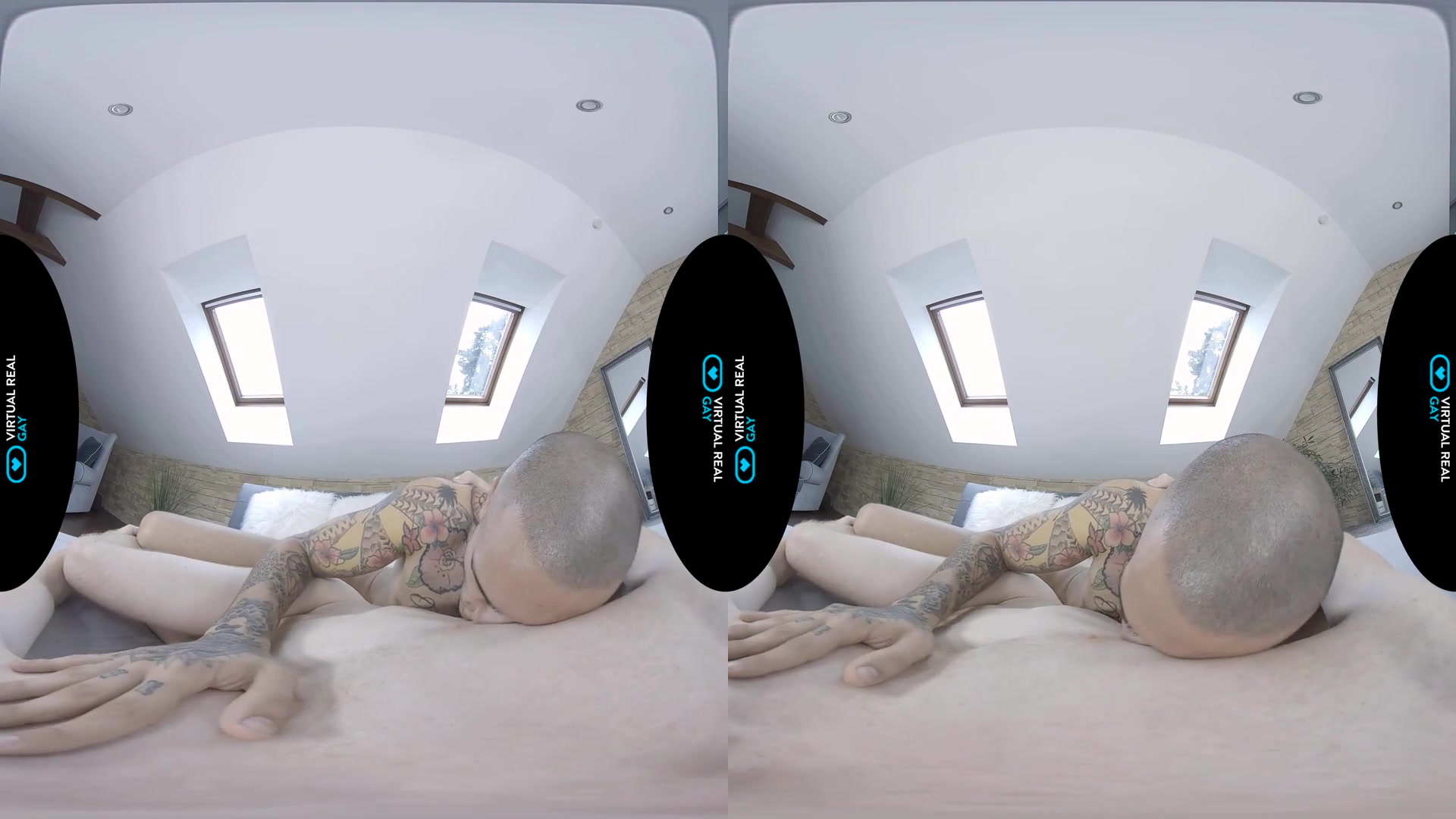 Sexual trainer - VirtualRealGay