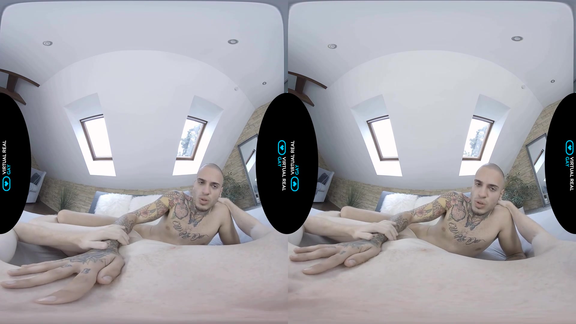 Sexual trainer - VirtualRealGay
