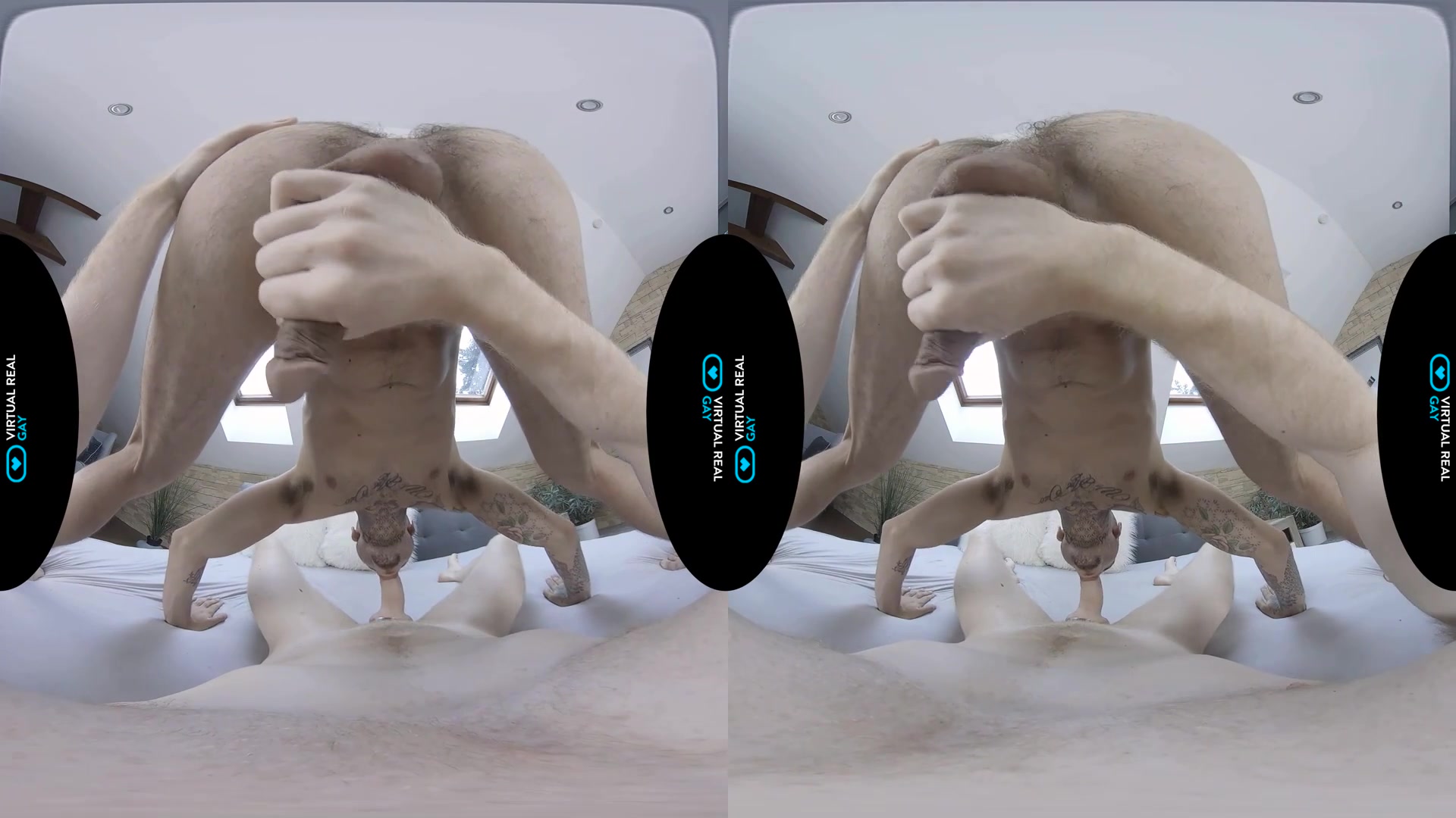 Sexual trainer - VirtualRealGay