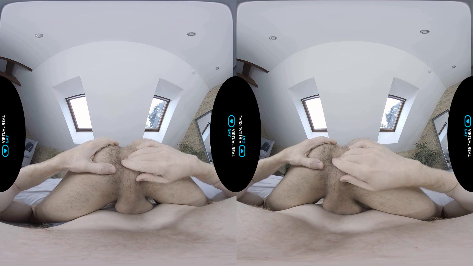 Sexual trainer - VirtualRealGay