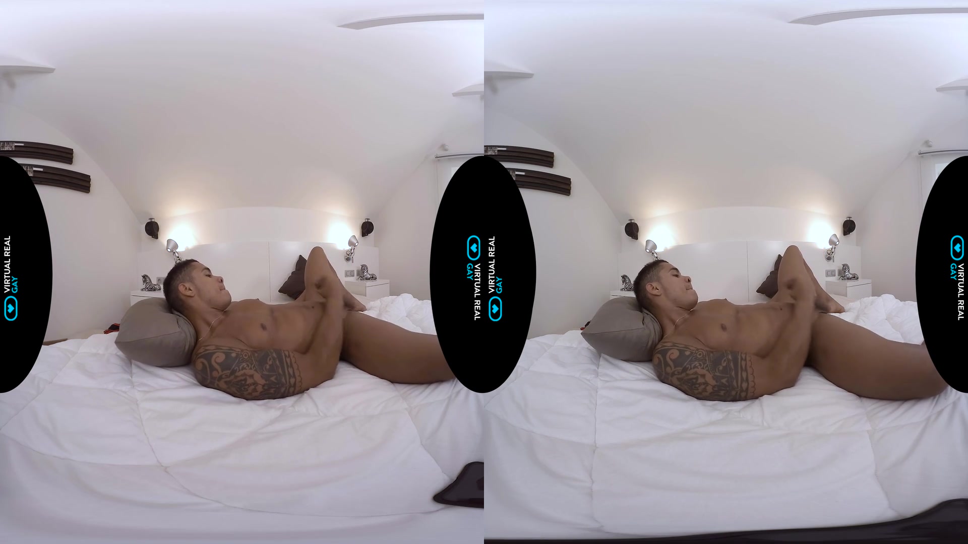 Pro Wrestler - VirtualRealGay