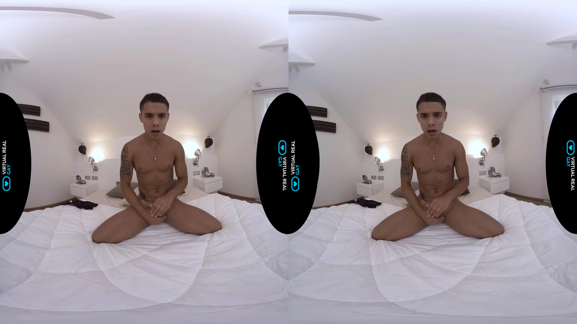 Pro Wrestler - VirtualRealGay