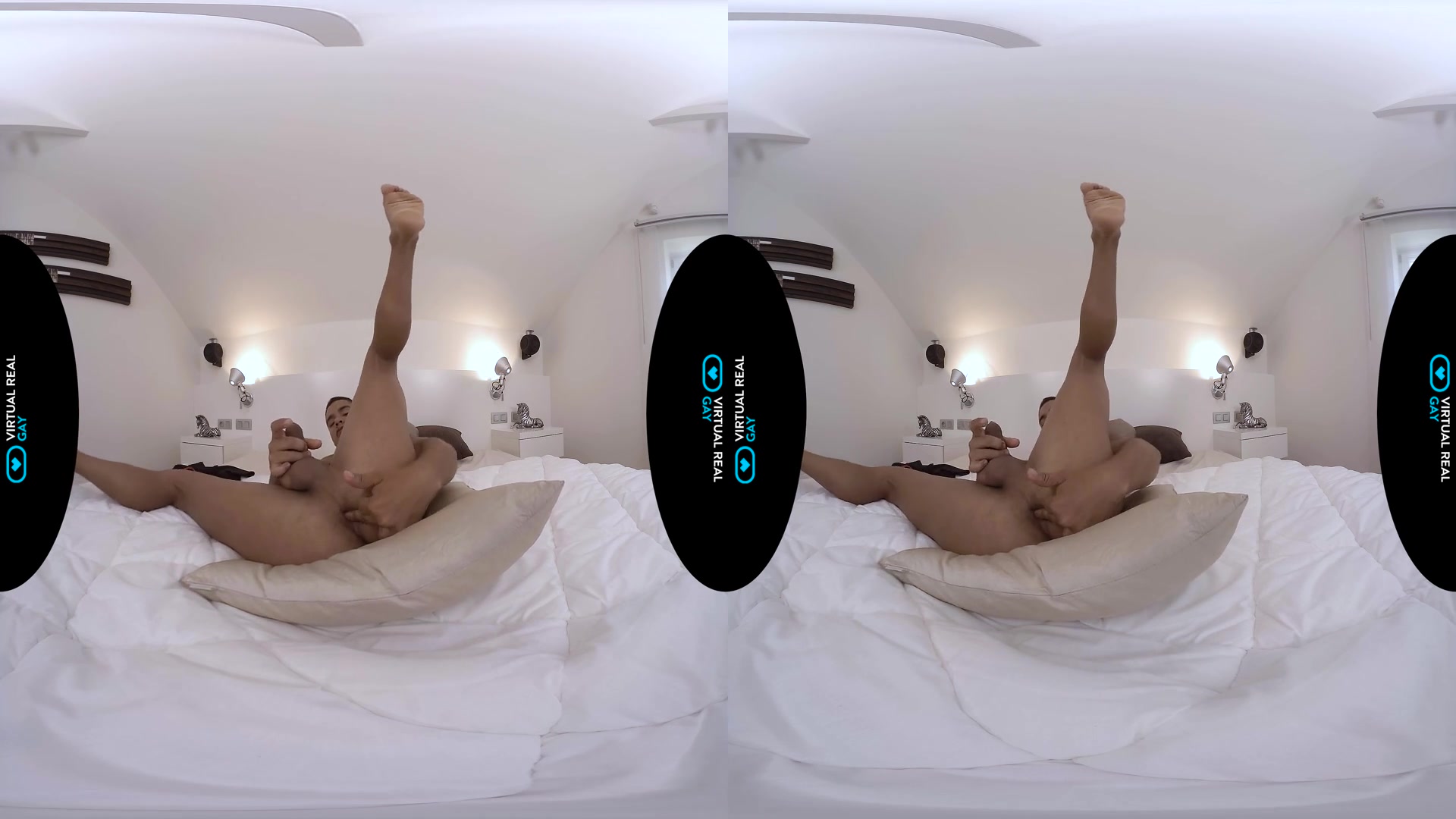 Pro Wrestler - VirtualRealGay