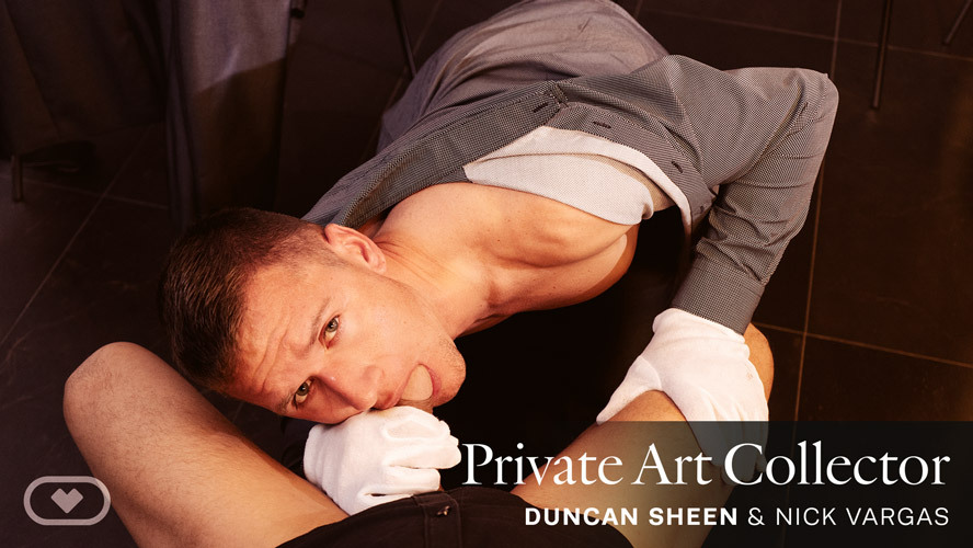 Private Art Collector - VirtualRealGay