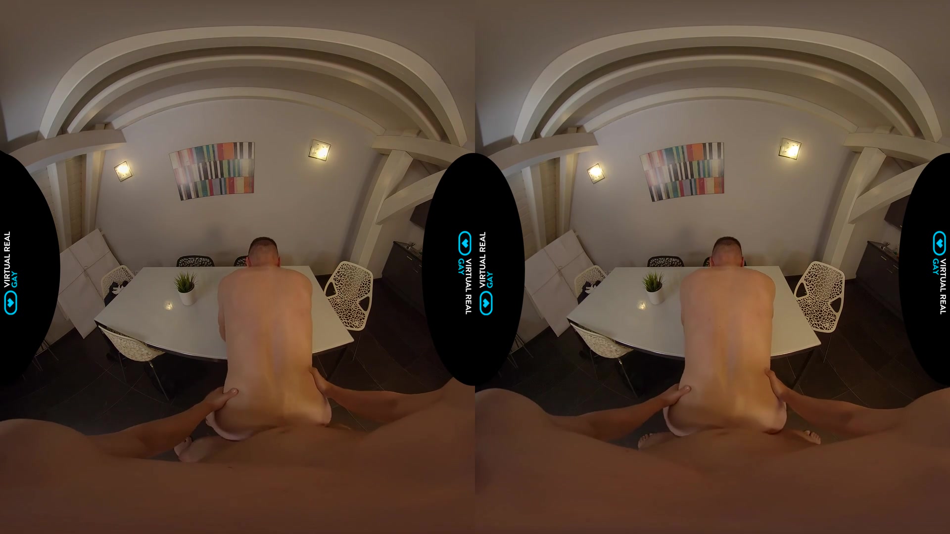 Private Art Collector - VirtualRealGay