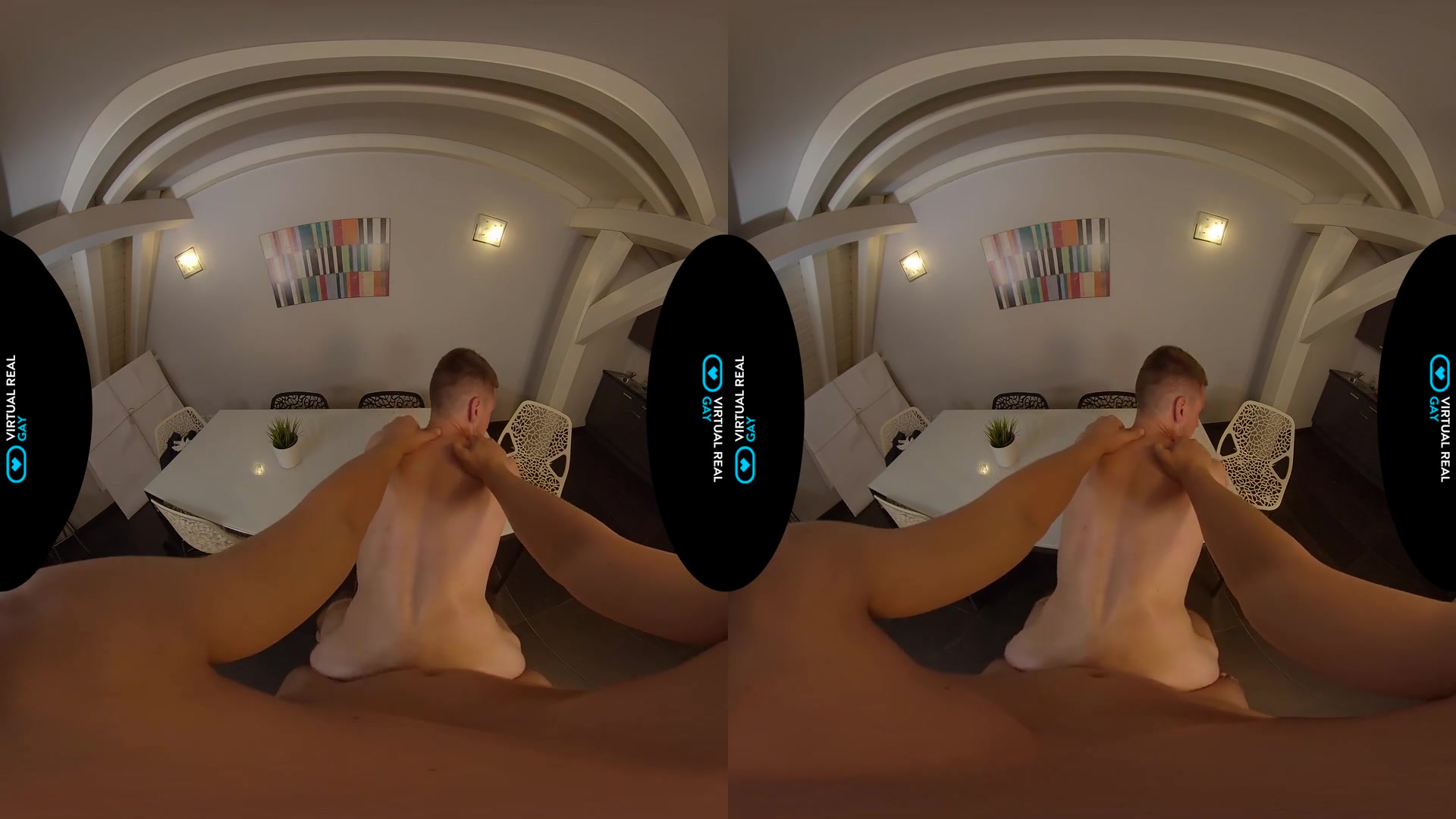 Private Art Collector - VirtualRealGay