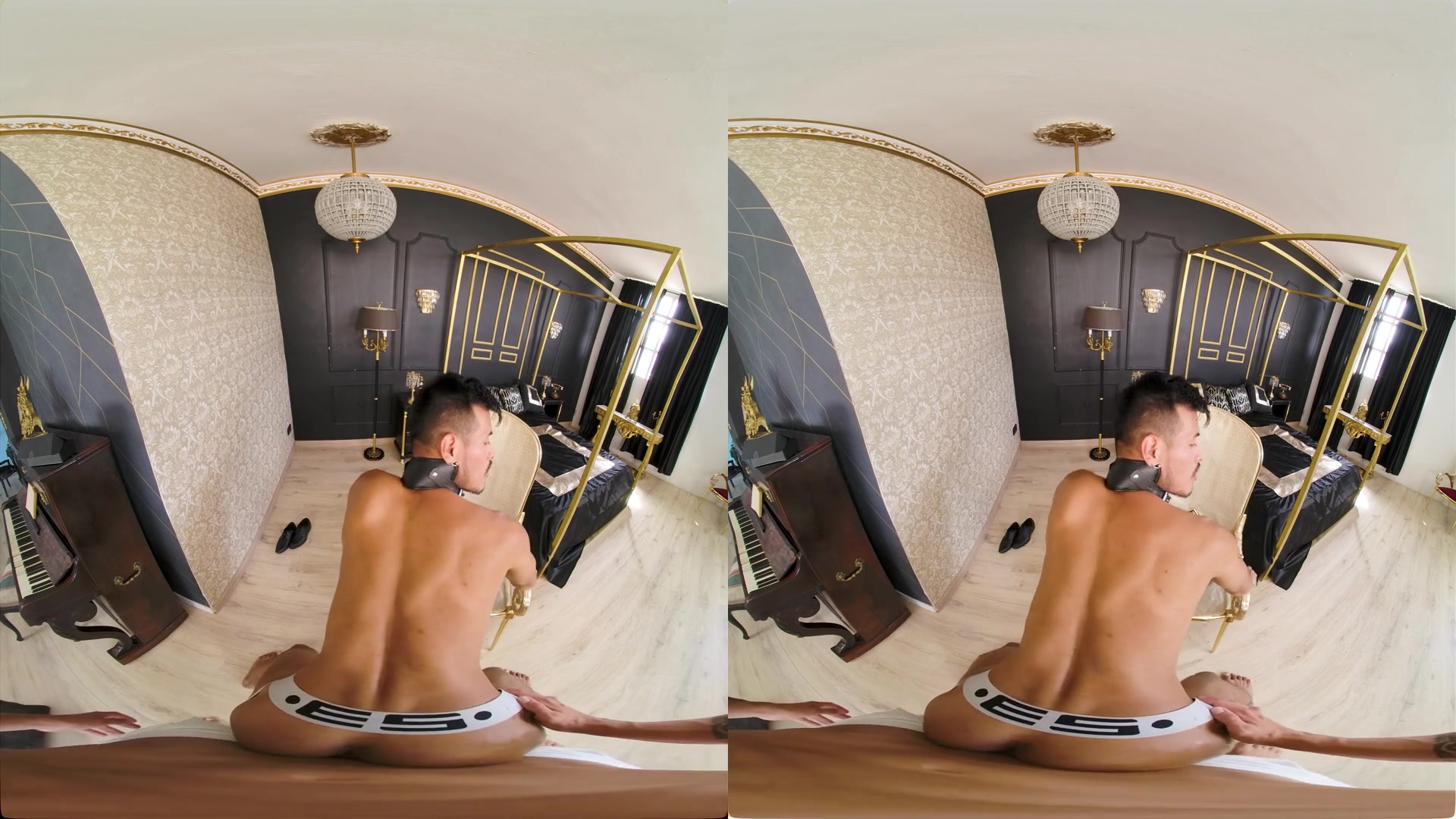 Pretty Dog - VirtualRealGay