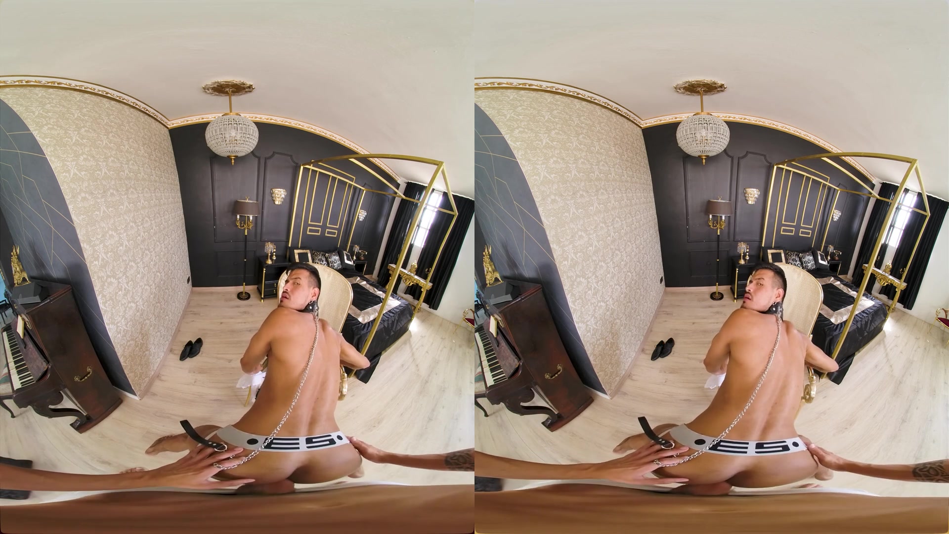 Pretty Dog - VirtualRealGay