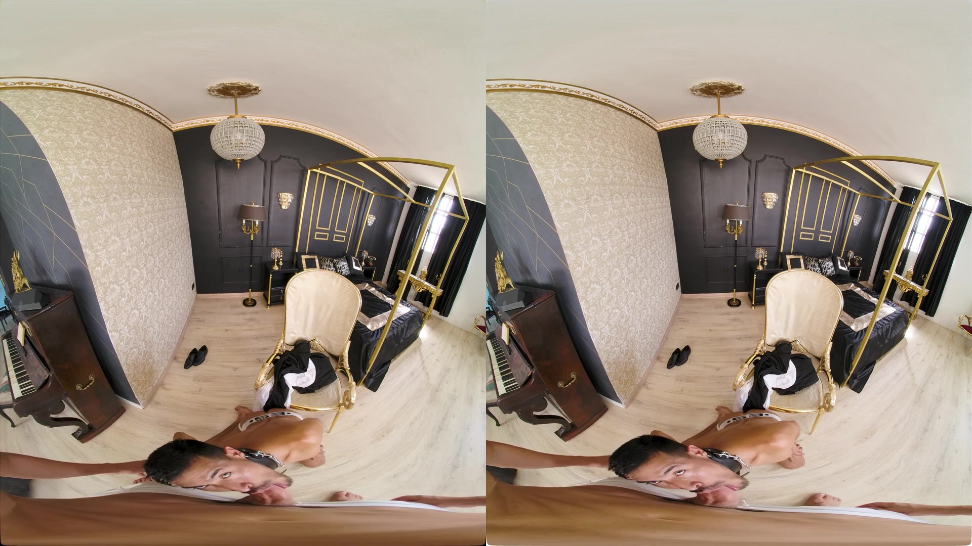 Pretty Dog - VirtualRealGay