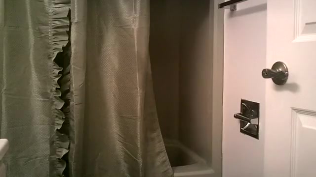 shower toy