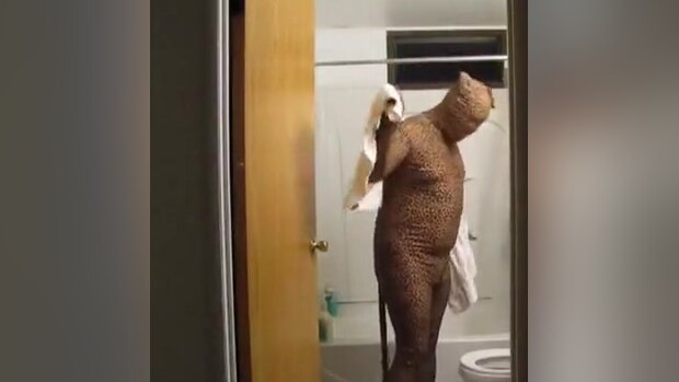 Cat Shower