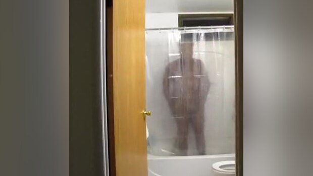 Cat Shower
