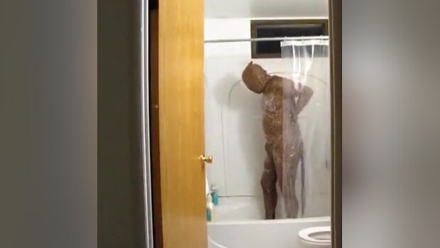 Cat Shower